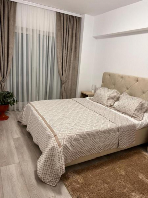 Apartament 2 camere Proximitate Aeroport